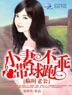 临时老婆