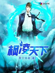 锋凌天下