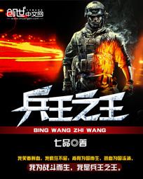 兵王之王顶点