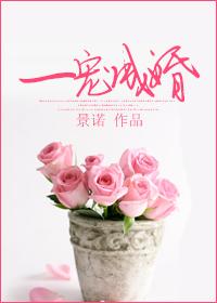 一宠成婚总裁老公坏坏爱