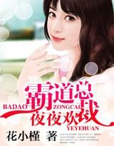 霸道总裁夜夜欢免费看
