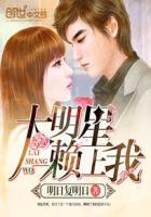 大明星爱上我续