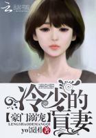豪门冷少宠妻成瘾免费