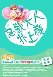 总裁大人在上