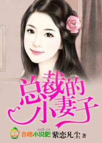 总裁的妻子 紫恋凡尘