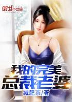 我的完美总裁老婆在线阅读