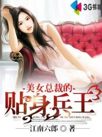 美女总裁的贴身兵王秦枫白琴