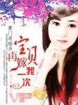 豪门宠婚宝贝甜妻