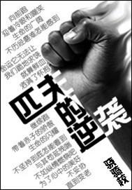 匹夫的逆袭作者是谁