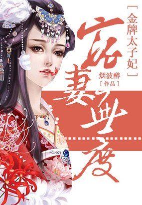 宠妻无度金牌相公全文