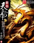紫极天帝结局