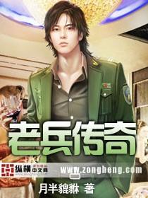 老兵传奇道士优先强化哪个技能
