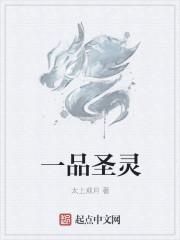 圣一品是什么意思