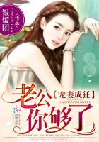 宠妻狂魔老公你够了免费阅读