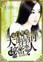 大明星的秘密恋人