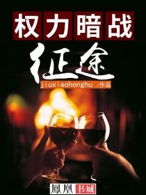 权力暗战征途 第2章