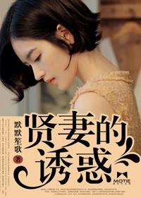 贤妻3