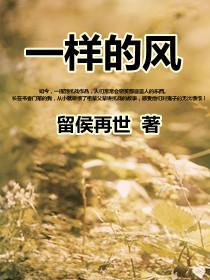 风一样的我原唱