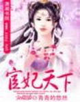 宦妃天下讲的什么