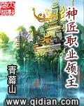 类似神匠职业领主的