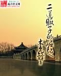 二道贩子的崛起有多少字