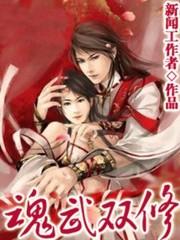 异世之魂武双修