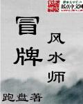 冒牌风水师by血儿晋江文学城