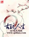 古玩人必看15部全集