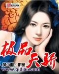 极品天骄1-100集