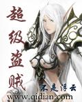 超级盗贼txt八零电子书