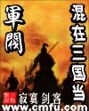 混在三国当军阀未删减版txt