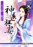 天下第一妃神医狂妻全文阅读