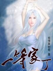 一等家丁动漫全集免费观看完整版