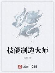 技能制造大师评价