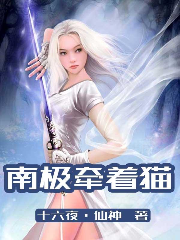 记者无限感慨在南极动物有如此高的地位