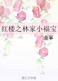 红楼之林家夫人