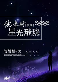 他来时星光璀璨快穿 没防盗