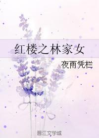 红楼之林家女婿