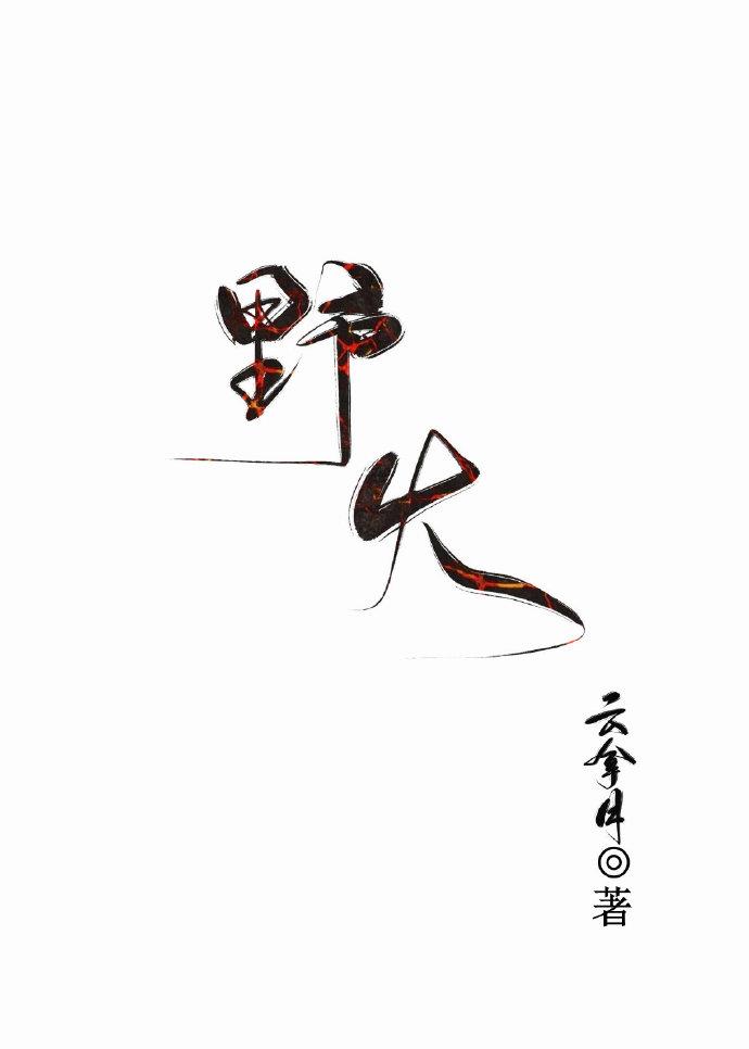 野火(父女)林晚林潮生解读