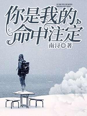 你是我的命中注定完整版