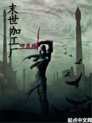 末世加料版