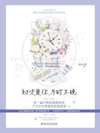 初次爱你为时不晚电视