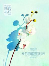 爱你是最好的时光40集全