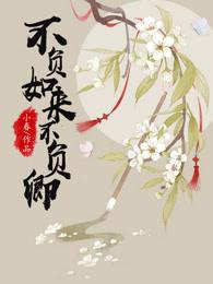 不负如来不负卿完整版诗句