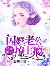 娇宠内妻闪婚老公撩上瘾