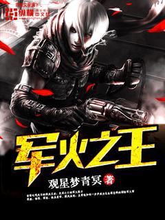 军火之王动漫全集
