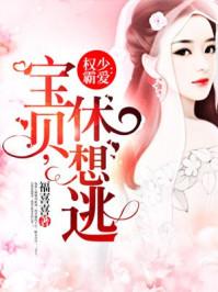 权少豪宠小宝贝权淮琛结局