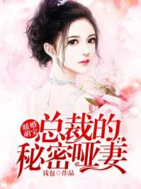 总裁的暖婚新妻免费阅读