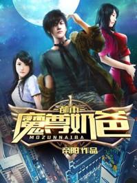都市奶爸帝尊