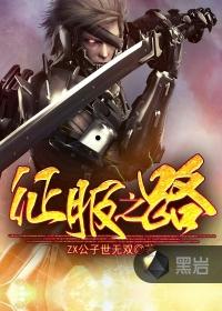 征服之路有声